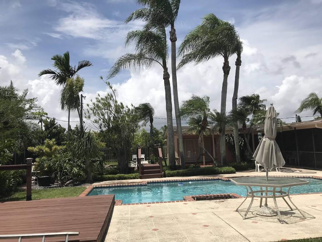 Poolside palms and tropical beds