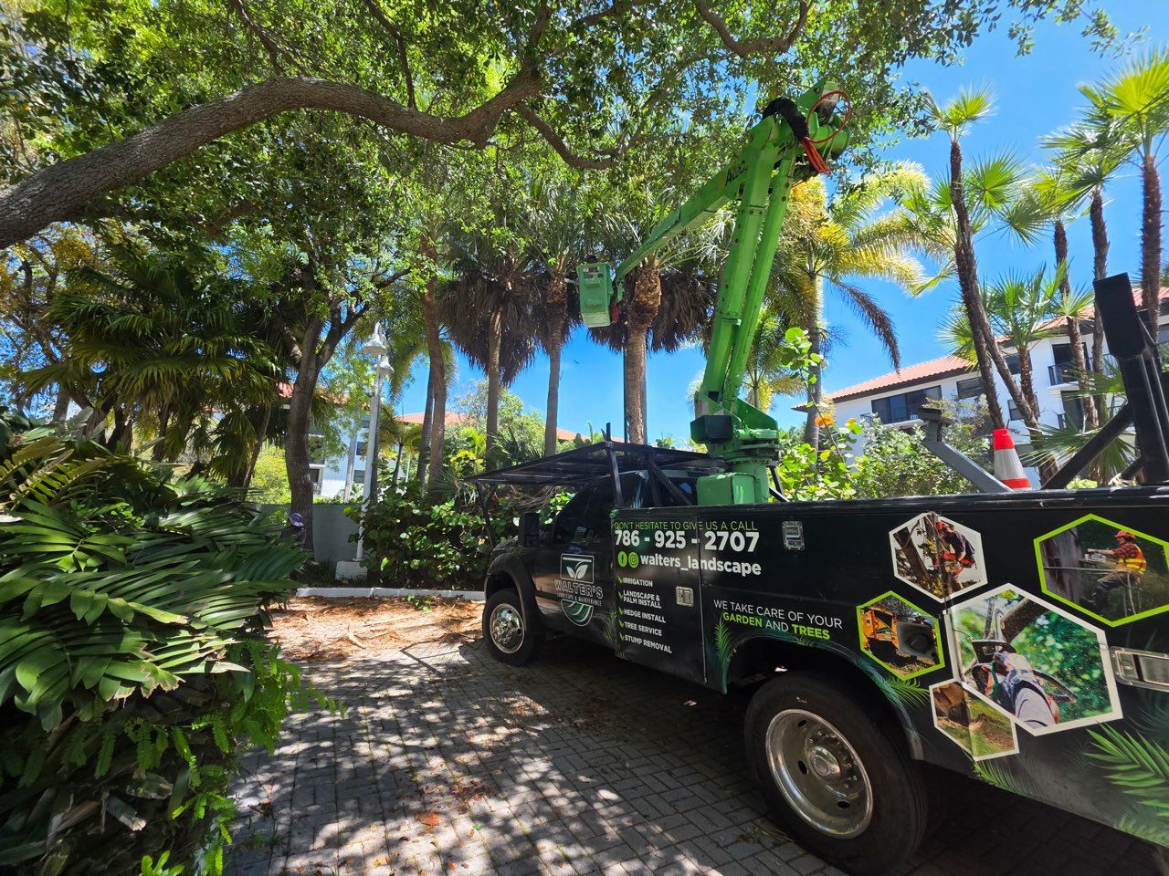 Walter's bucket truck parked under a big oak and palms