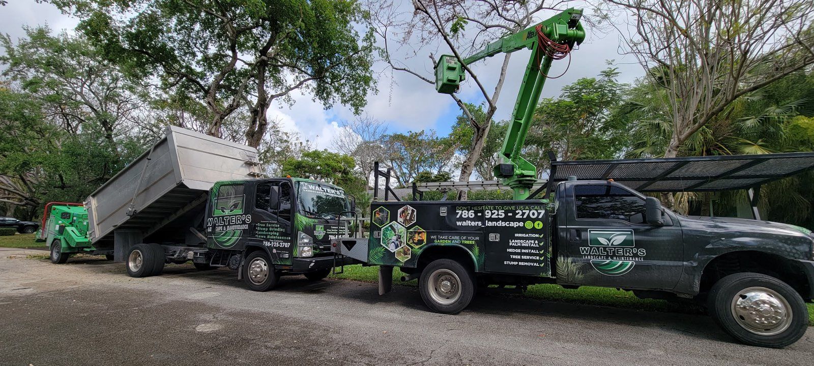 Walter's dump truck, chipper and bucket truck lined up under shade trees
