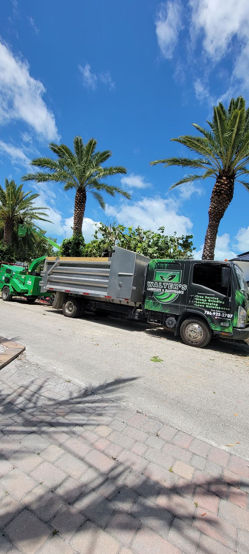 Walter's dump truck under trimmed date palms on a sunny day